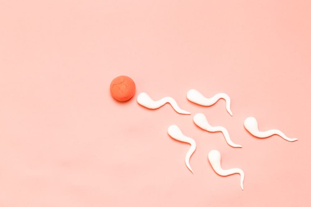 هل دوالي الخصية تسبب ضعف حركة الحيوان المنوى؟